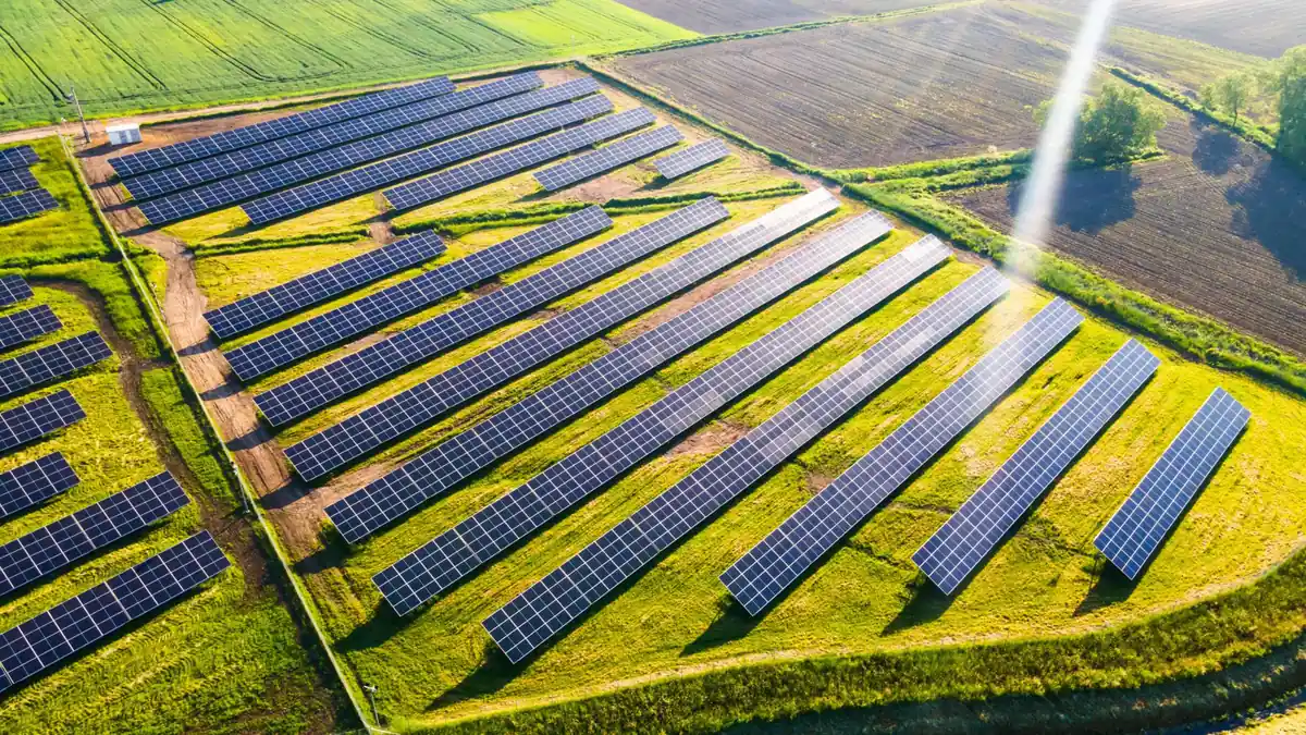 Solar panels powering a water pumping system at a Cape Winelands wine cellar during harvest season agri-processing operations