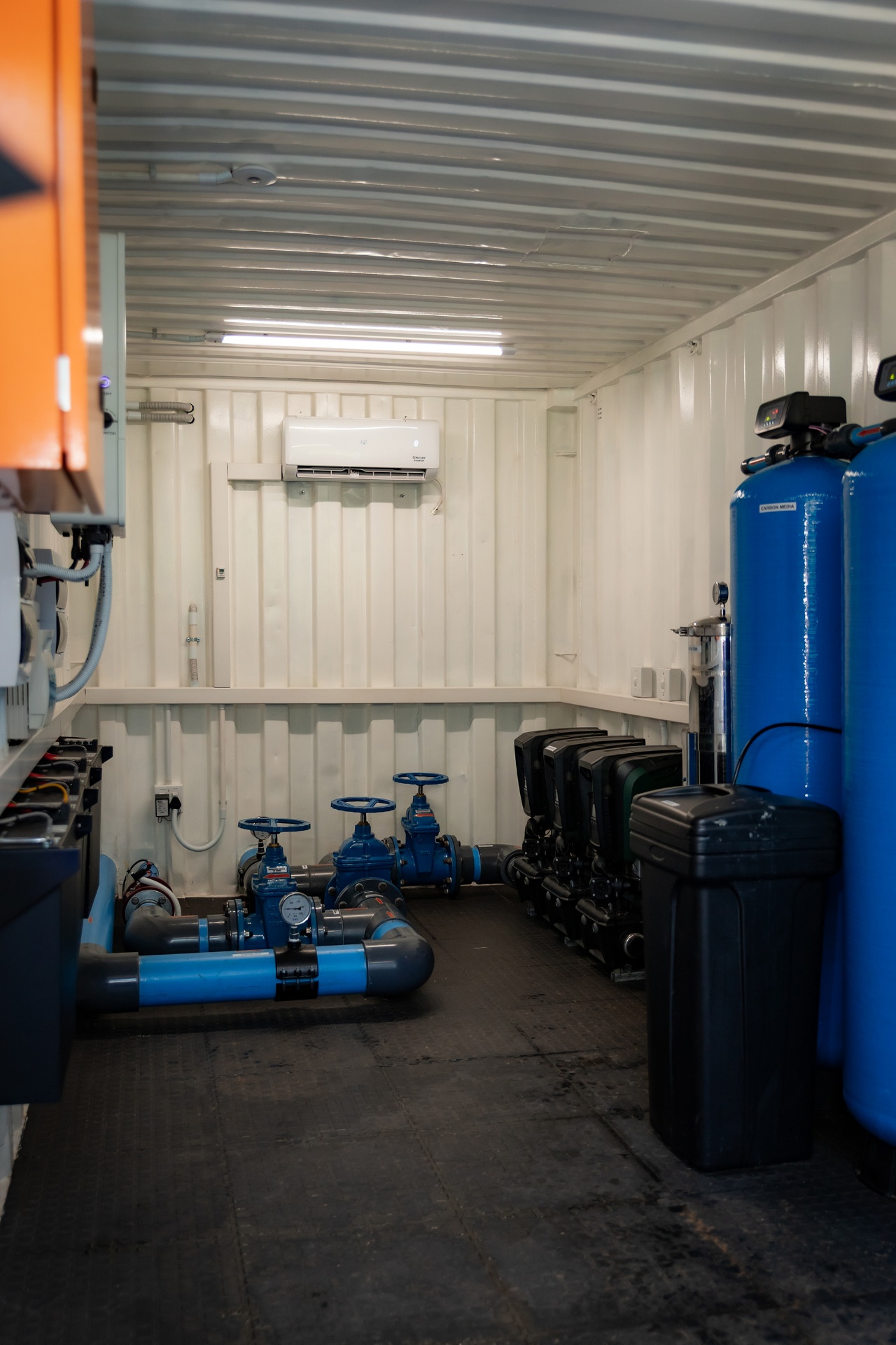 Containerized Plants