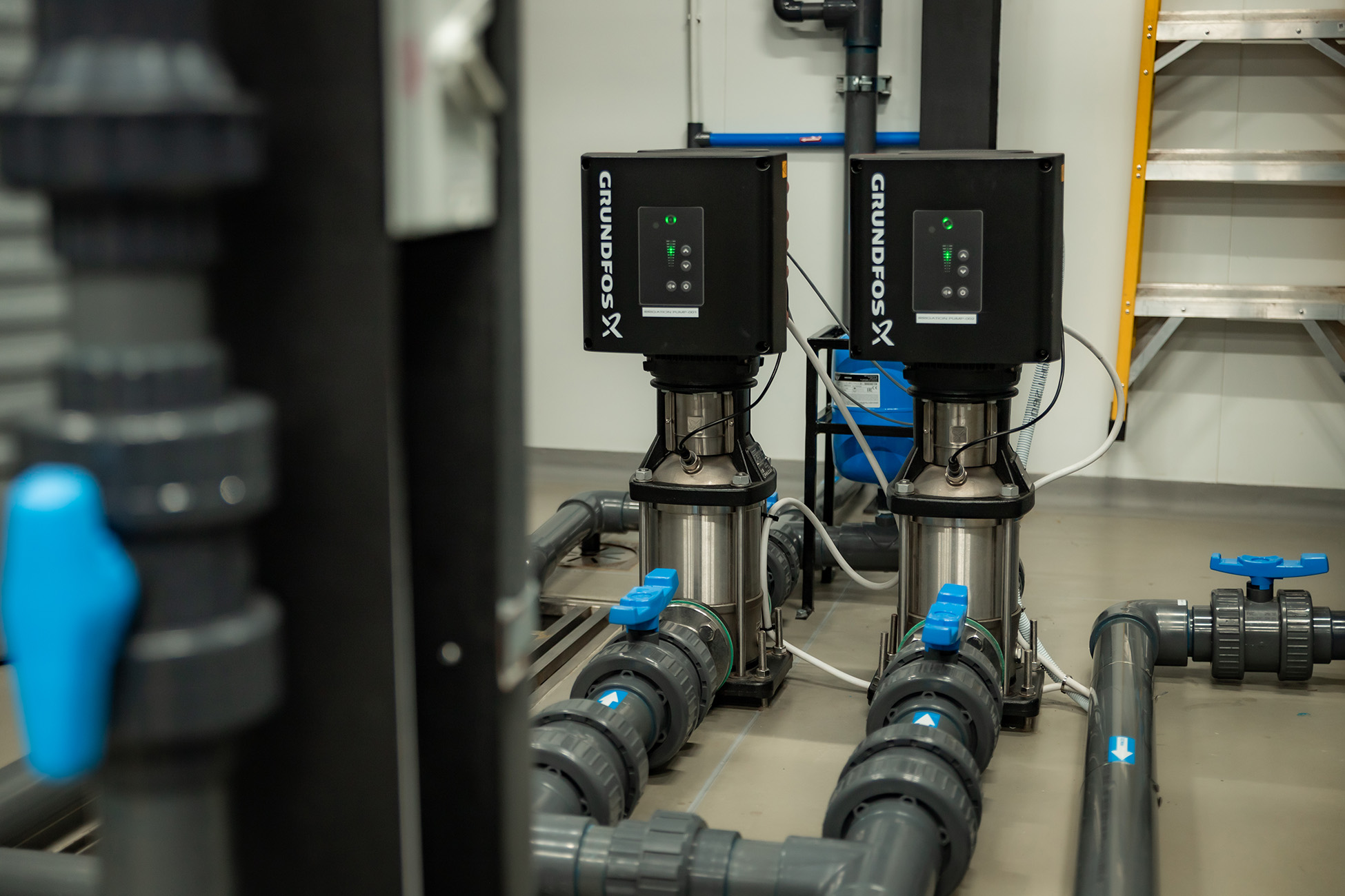 Grundfos pumps