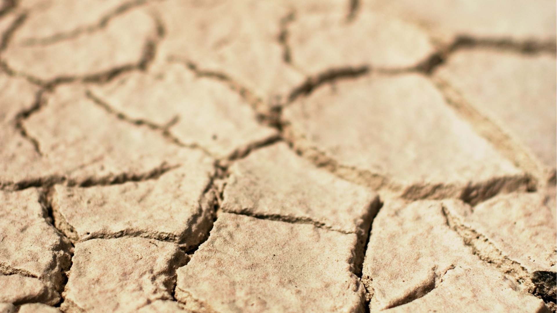 Cracked, dry earth in South Africa symbolising the impact of water-shedding and prolonged water scarcity.