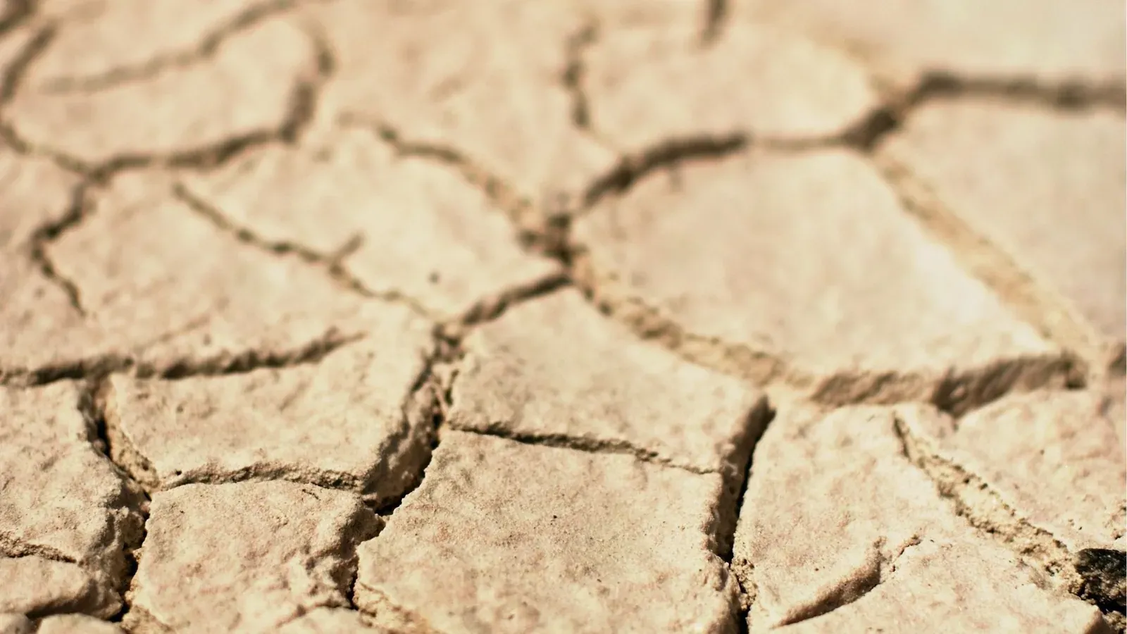Cracked, dry earth in South Africa symbolising the impact of water-shedding and prolonged water scarcity.
