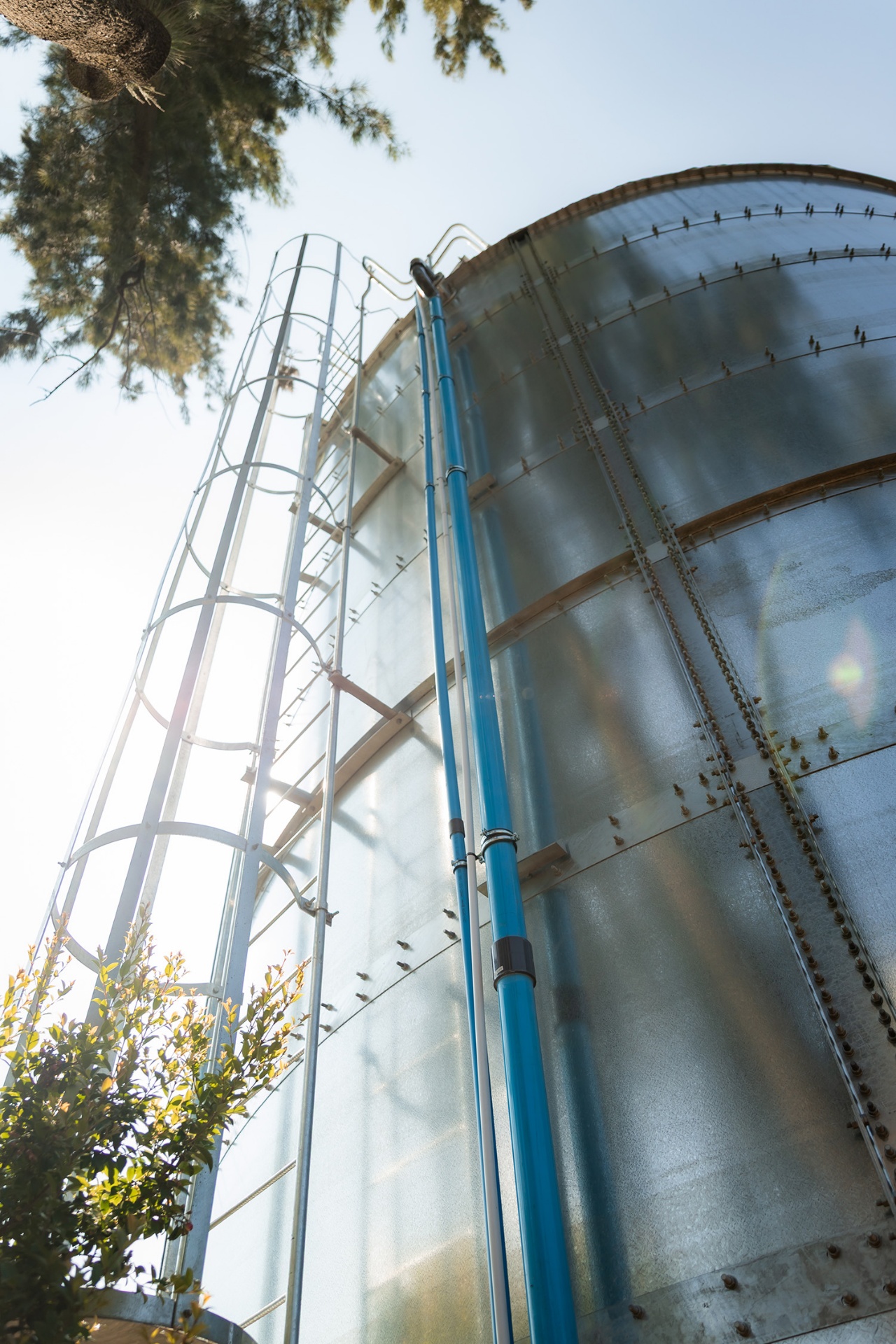 Steel tank ladder with sunflare
