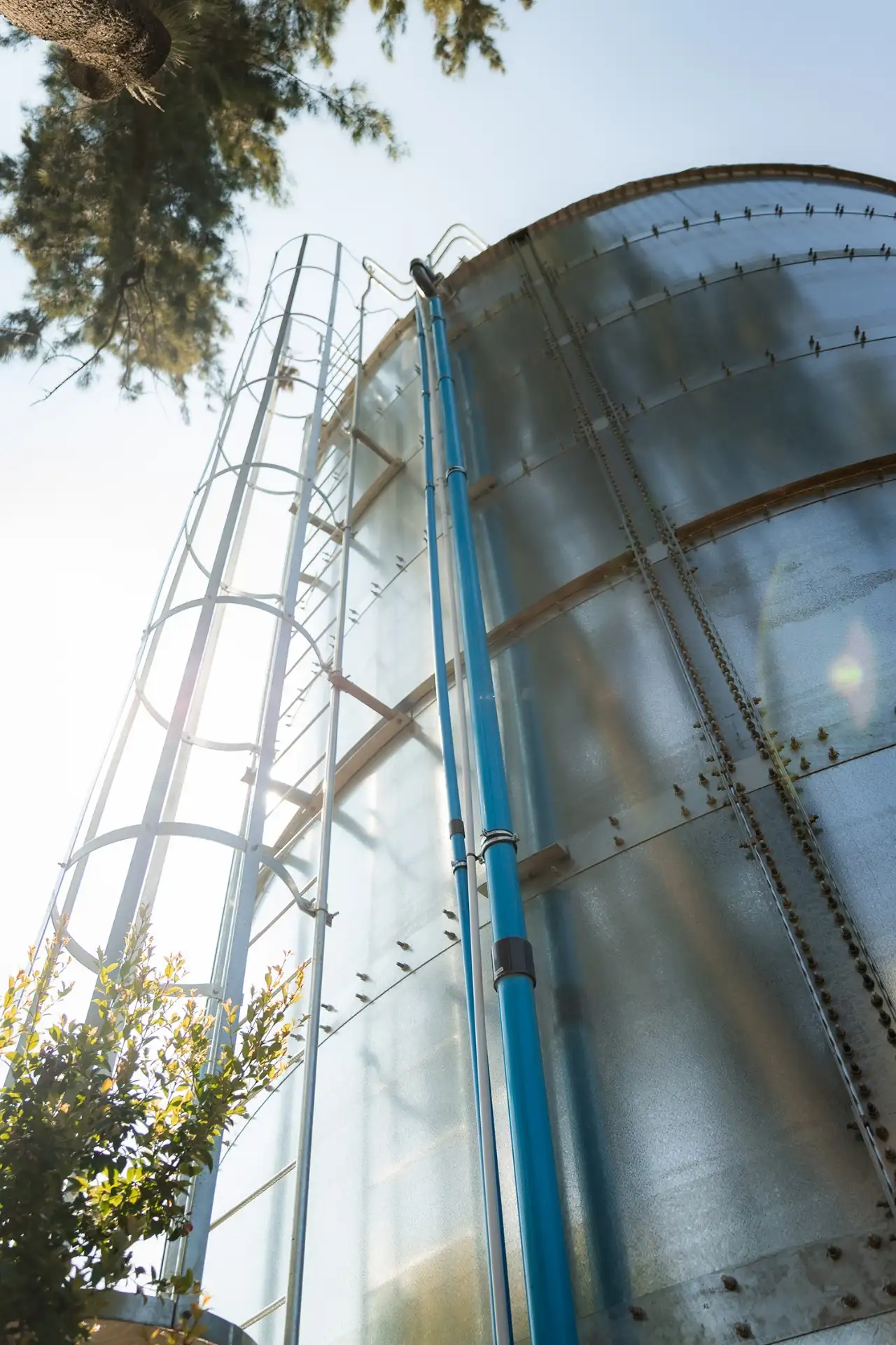 Steel tank ladder with sunflare